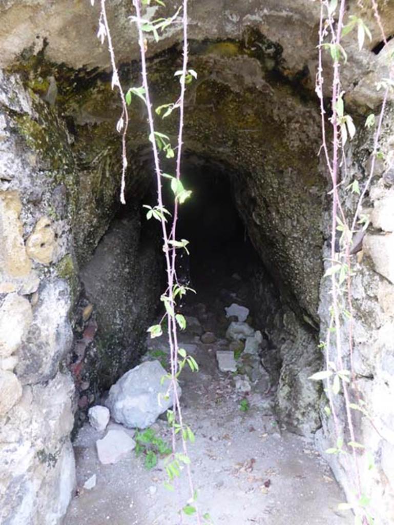 II.4 Herculaneum, October 2014.Looking west in Bourbon tunnel. Photo courtesy of Michael Binns.