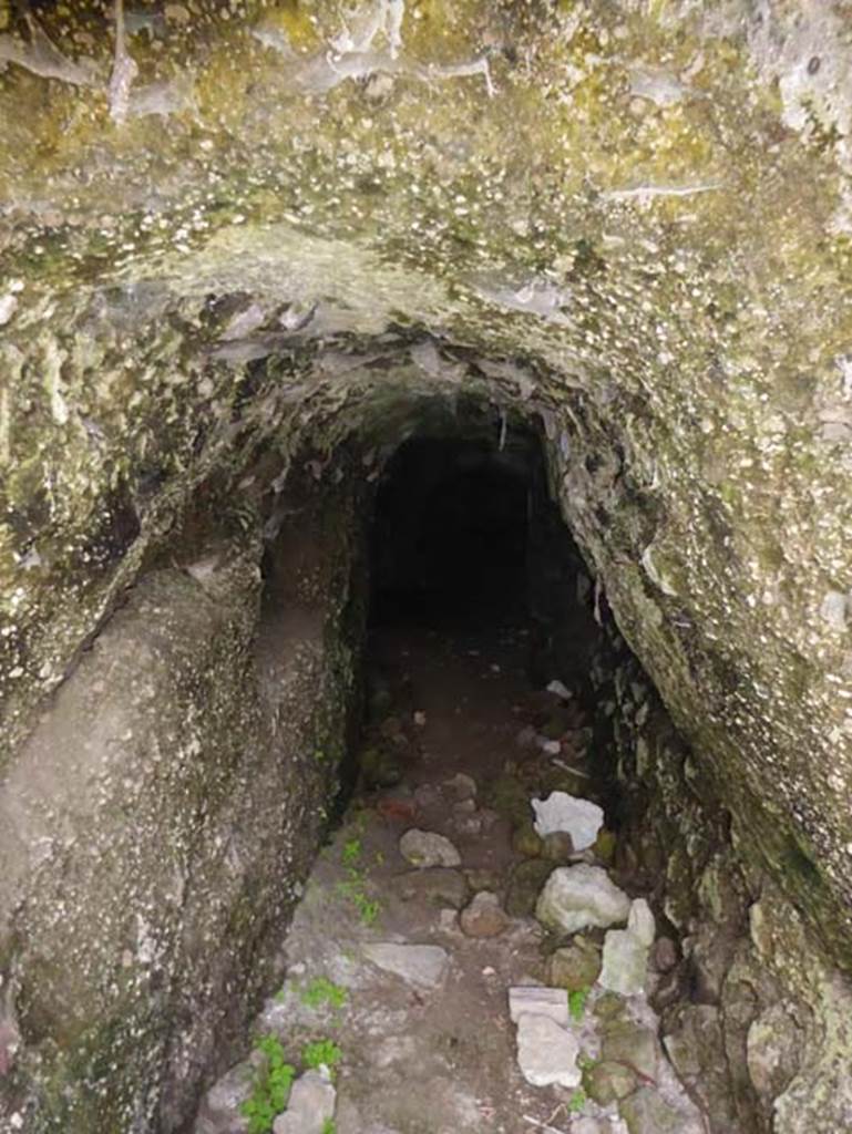 II.4 Herculaneum, October 2014.Looking west in Bourbon tunnel. Photo courtesy of Michael Binns.