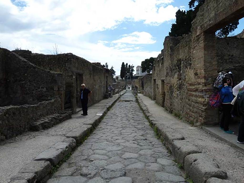 Ins III on left, Ins II on right. May 2010. Looking south along Cardo III Inferiore.   