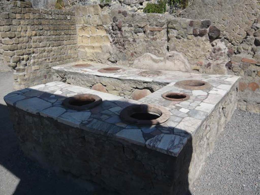 II.6 Herculaneum. August 2013. Looking south-west across podium. Photo courtesy of Buzz Ferebee.