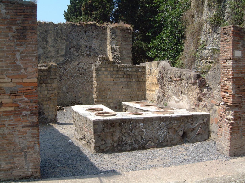 II.7/6 Herculaneum, May 2001. Looking south towards entrance doorway. Photo courtesy of Current Archaeology.