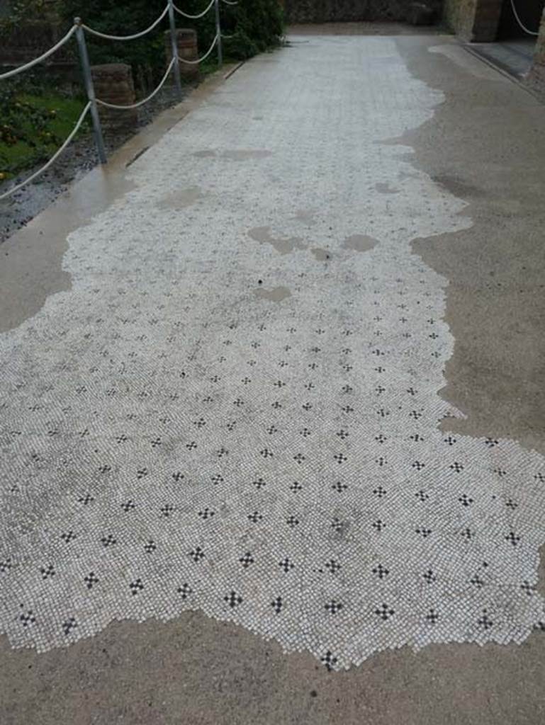 III.1 Herculaneum, September 2015. Room 31 peristyle, mosaic floor of south portico of upper floor. 