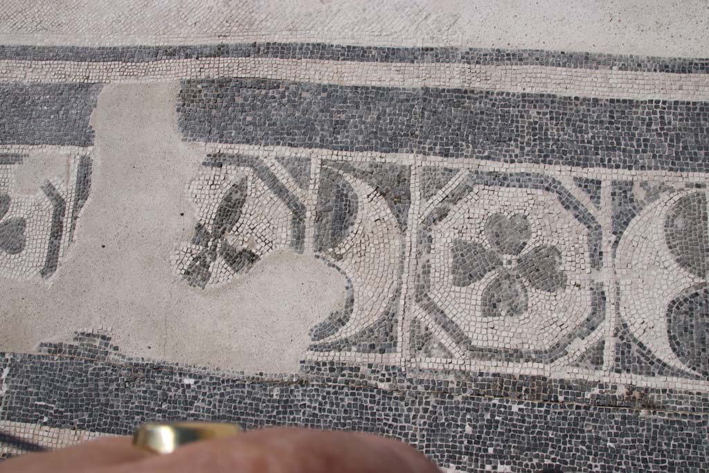 Ins. III.1 Herculaneum, October 2020. Room 23, detail of continuation of threshold mosaic. Photo courtesy of Klaus Heese.