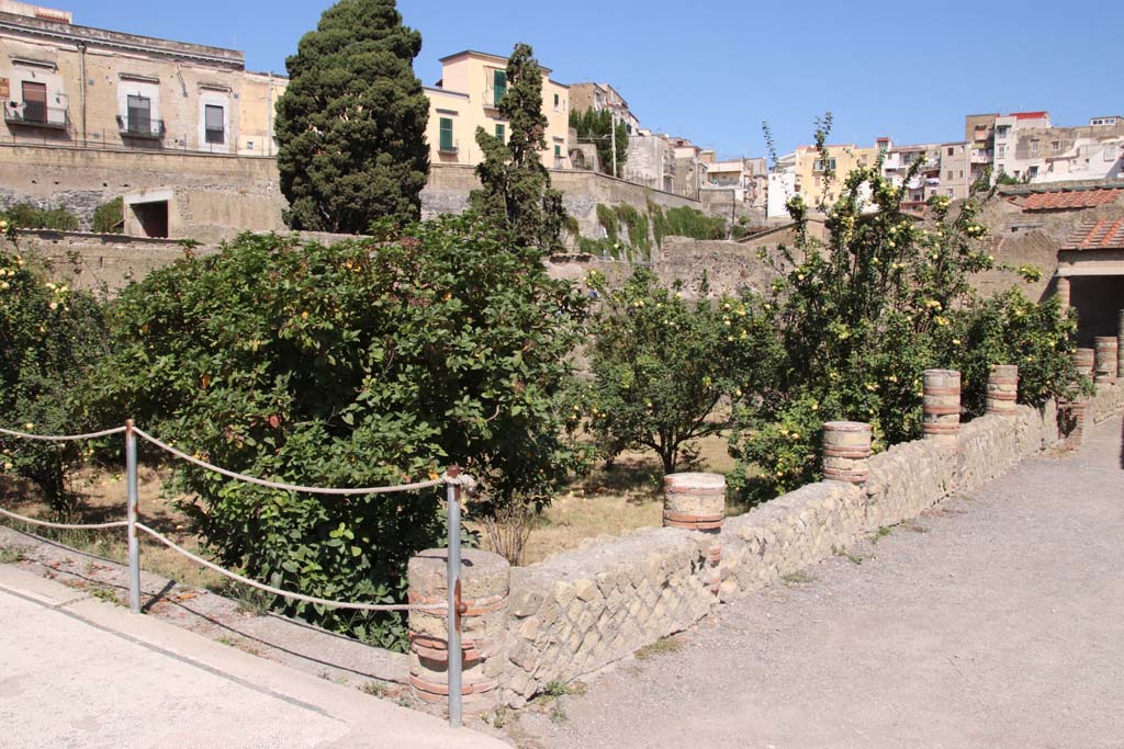 III.1 Herculaneum, September 2019. Area 31, looking across garden area towards west side, and north-west corner, from east portico. 
Photo courtesy of Klaus Heese.
