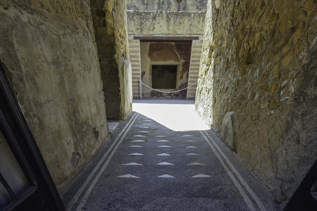 III.3 Herculaneum. August 2021. Looking east along mosaic floor in entrance corridor. Photo courtesy of Robert Hanson