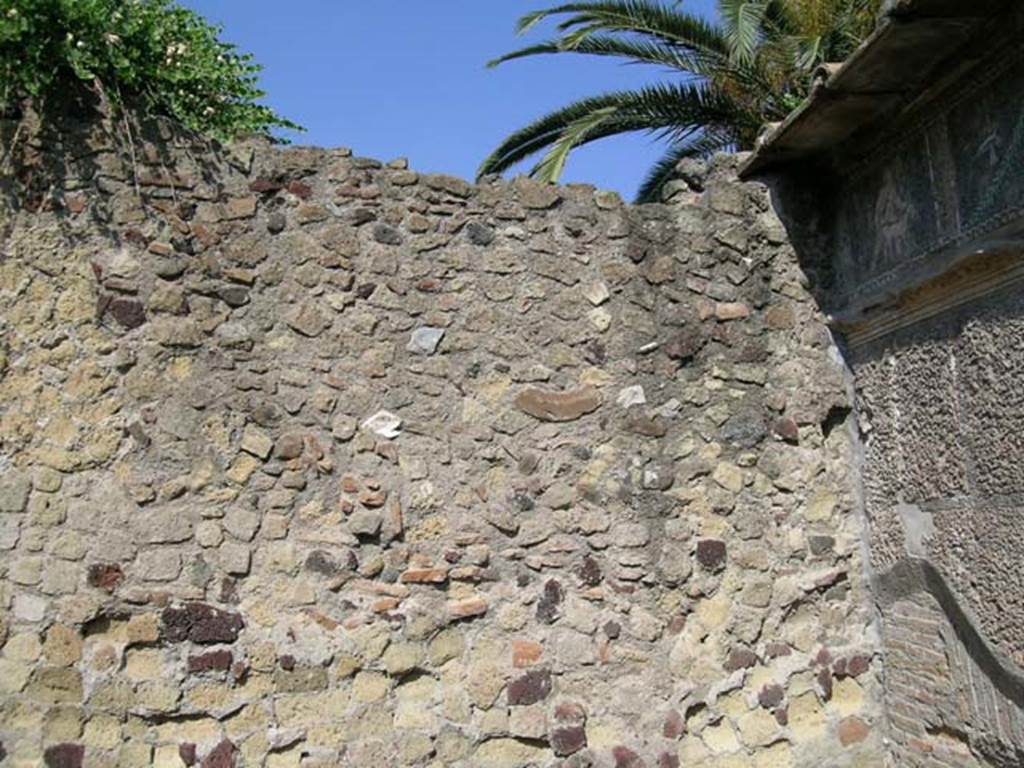 III 03 Herculaneum, June 2005. Detail of north wall at east end. Photo courtesy of Nicolas Monteix.  