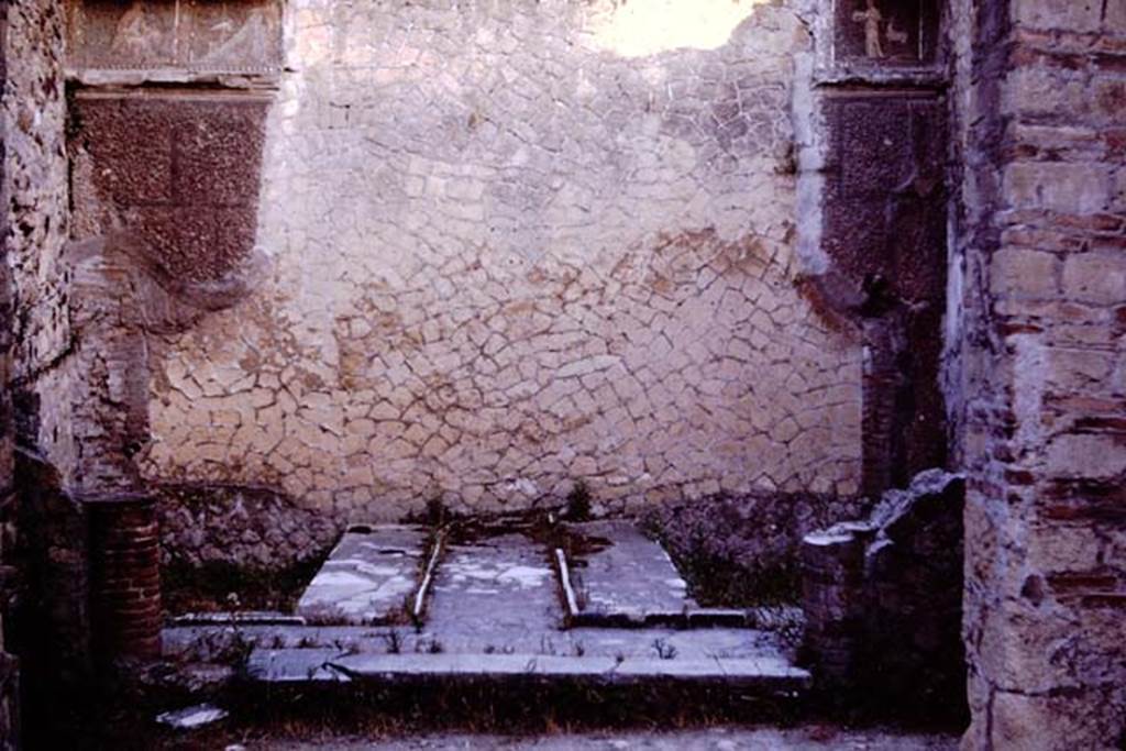 III.3 Herculaneum. 1964. Without the central mosaics and alcove.
Photo by Stanley A. Jashemski.
Source: The Wilhelmina and Stanley A. Jashemski archive in the University of Maryland Library, Special Collections (See collection page) and made available under the Creative Commons Attribution-Non Commercial License v.4. See Licence and use details.
J64f1189
