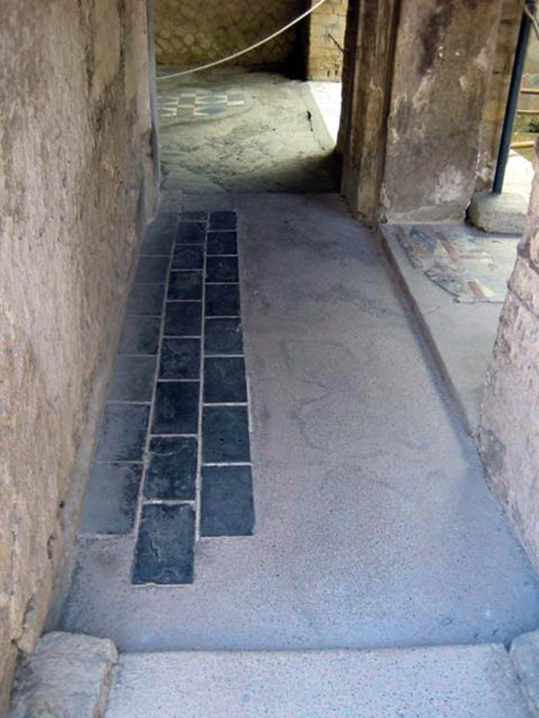 III.3 Herculaneum, June 2011. Looking east along corridor leading to triclinium, and small light-yard, on right. 
Photo courtesy of Sera Baker.
