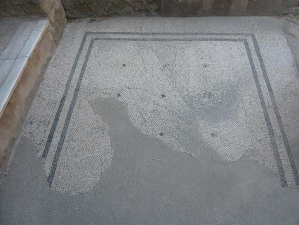 III.3 Herculaneum. August 2013. Room 20, on south side of house, looking south across mosaic floor towards area with vats/basins and niche. Room 17, with the step up, is on the left. Photo courtesy of Buzz Ferebee.
