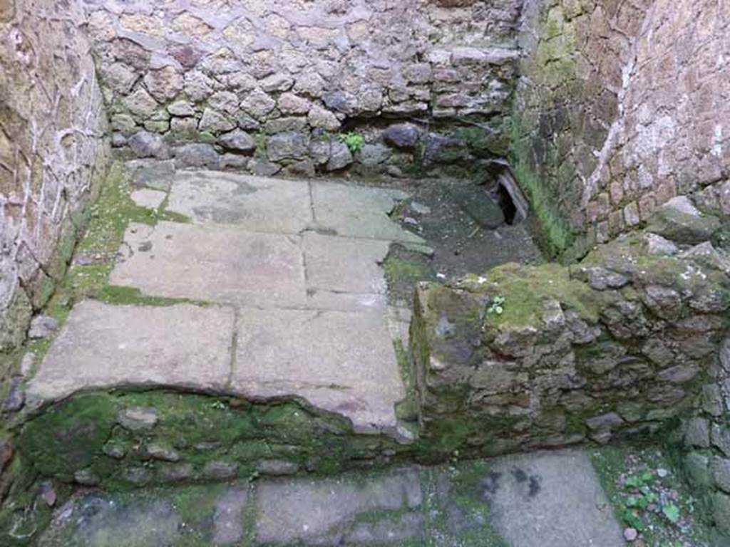 Ins. III.9. Herculaneum. May 2010. Latrine at north end.