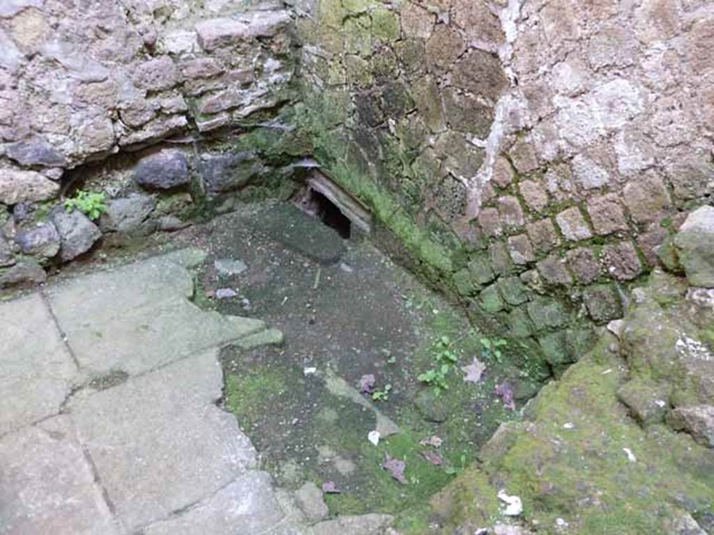 Ins. III.9. Herculaneum. May 2010. Latrine.