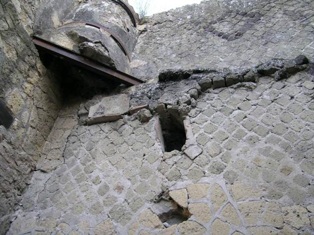 III.09, Herculaneum.  May 2005. Detail from east wall. Photo courtesy of Nicolas Monteix.