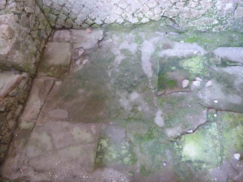 III.9 Herculaneum, October 2014. Latrine flooring. Photo courtesy of Michael Binns.