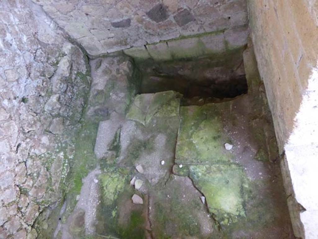 III.9 Herculaneum, October 2014. Looking towards south end of latrine. Photo courtesy of Michael Binns.
