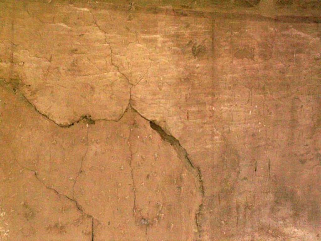 III.10, Herculaneum. May 2005. 
Detail (enhanced) of south wall of room positioned above the cubiculum and entrance corridor of the Casa del Tramezzo di legno 
Photo courtesy of Nicolas Monteix.


