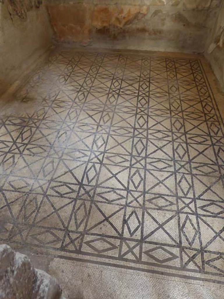 III.11 Herculaneum, October 2014.Room 2, flooring. Photo courtesy of Michael Binns.