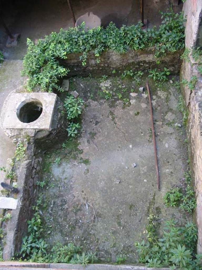 III,14, Herculaneum. May 2003. Looking east across courtyard/garden
Photo courtesy of Nicolas Monteix.
