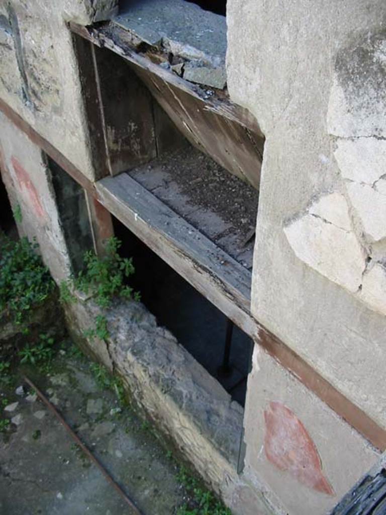 III.14, Herculaneum. May 2003. South wall of courtyard/garden.
Photo courtesy of Nicolas Monteix. 
