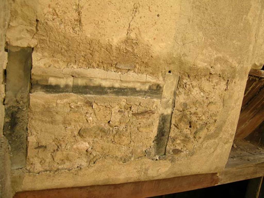 III.14, Herculaneum, April 2005. Upper south wall of courtyard/garden. Photo courtesy of Nicolas Monteix.