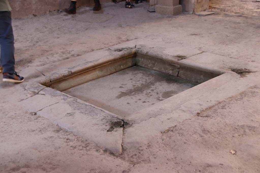 III.16, Herculaneum, September 2019. Looking south-west across impluvium in atrium. Photo courtesy of Klaus Heese.