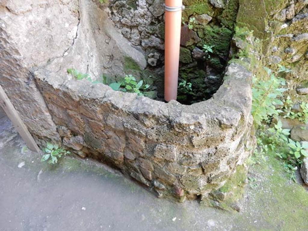 III.16, Herculaneum, May 2018. Room 5, looking south to well/basin/vat in south-east corner near doorway.
Photo courtesy of Buzz Ferebee.

