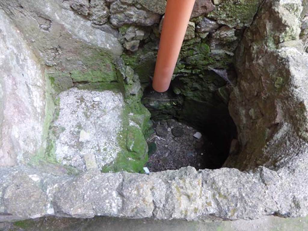 III.16, Herculaneum, October 2014. Room 5, well/basin/vat in south-east corner near doorway. Photo courtesy of Michael Binns.
