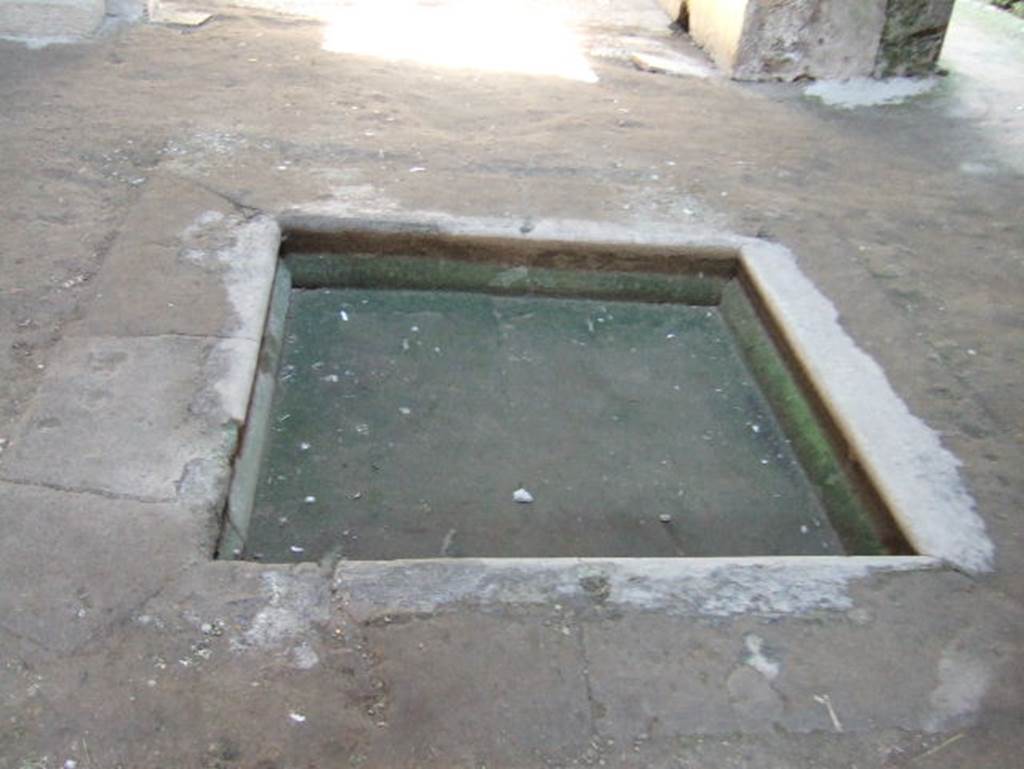 III.16, Herculaneum, May 2006.  Room 9, impluvium in atrium. Looking west.