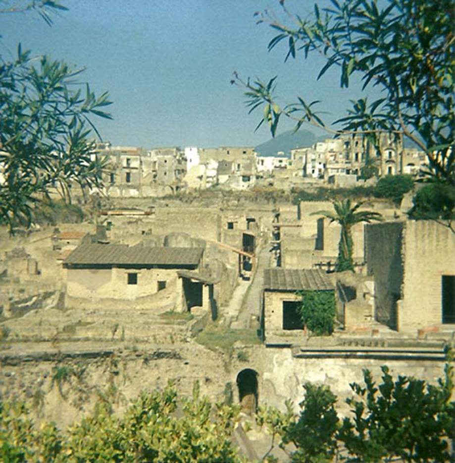 Cardo IV Inferiore, centre. 1978. Below the roadway is the vaulted passageway (blocked) leading via a ramp, to the beachfront.
On the left is part of III.19/18, and on the right is IV.1/2, the House of the Mosaic Atrium, looking north towards the terrace.
Photo courtesy of Roberta Falanelli.

