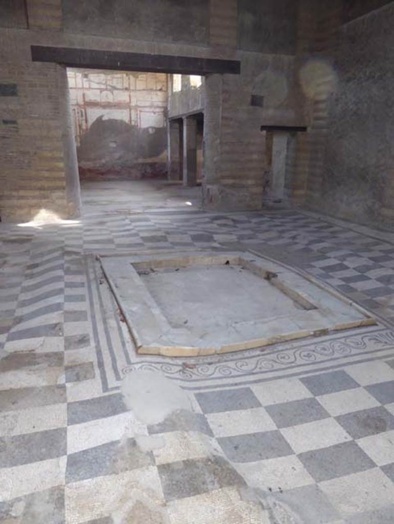 IV.2/1, Herculaneum, September 2016. Looking towards impluvium in atrium floor
Photo courtesy of Michael Binns.
