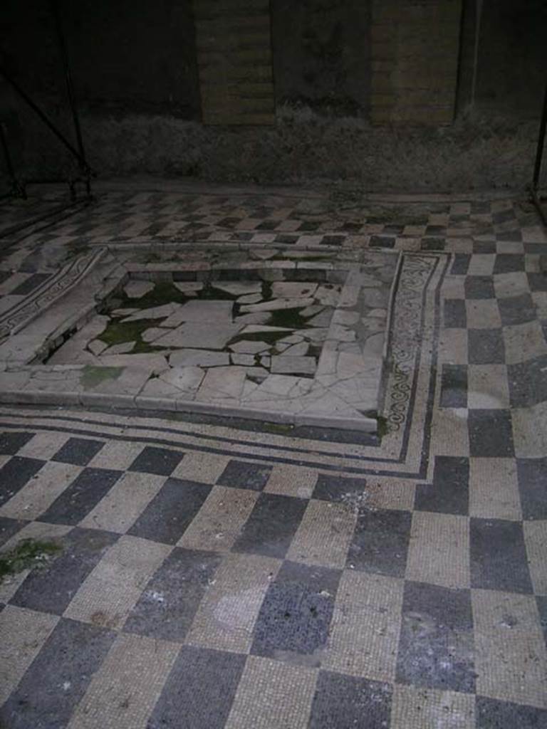 IV.2/1, Herculaneum, May 2004. Looking north across impluvium and flooring in atrium. Photo courtesy of Nicolas Monteix.
