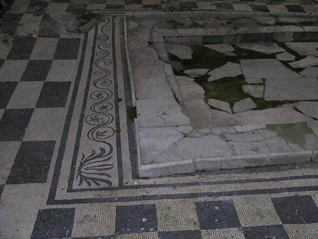 IV.2/1, Herculaneum, May 2004. Looking north along west end of impluvium in atrium. Photo courtesy of Nicolas Monteix.
