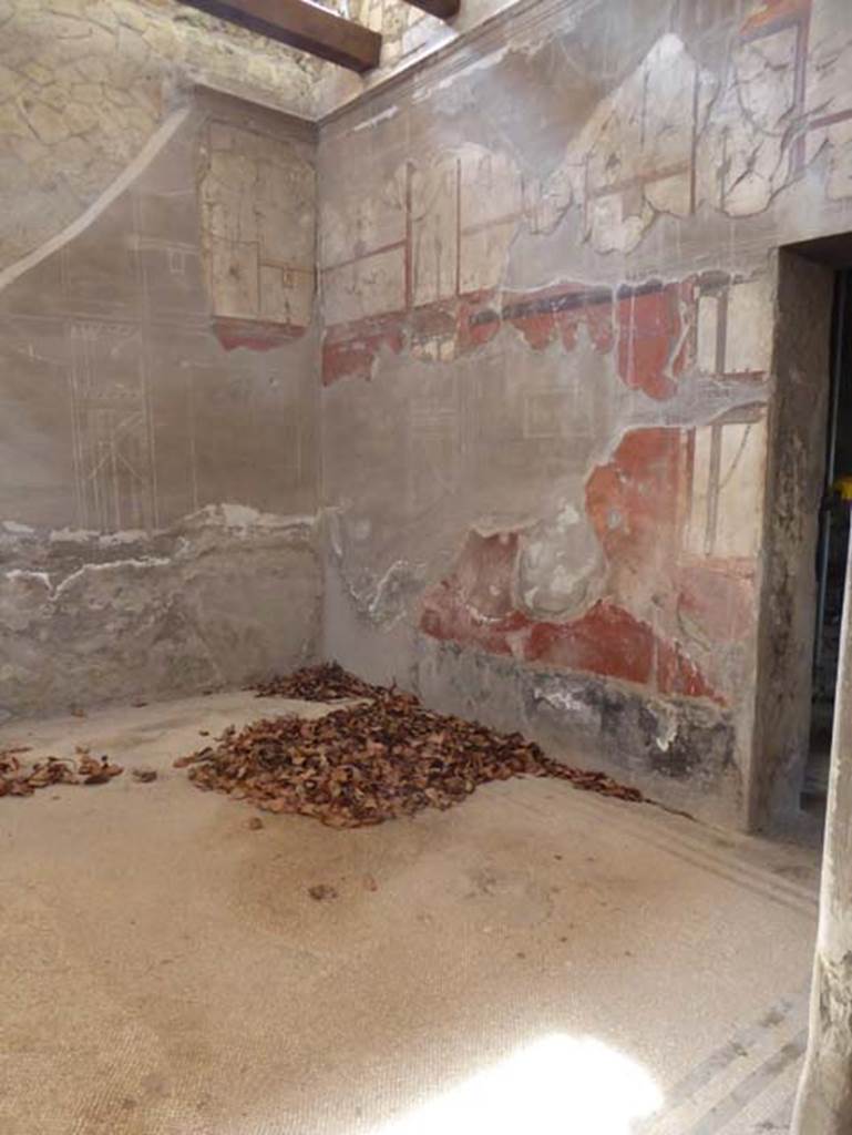 IV.2/1, Herculaneum, September 2016. Cubiculum 6, looking towards south-east corner and south wall.  Photo courtesy of Michael Binns.
