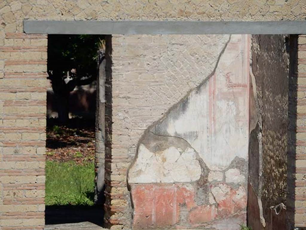 IV.2/1, Herculaneum, May 2018. North-east corner of large triclinium 12. Photo courtesy of Buzz Ferebee.
According to Cerulli Irelli, “the best conserved area of wall decoration was found in the corner between the north and east walls. 
The zoccolo (lower area) was painted red and divided by a series of painted pilasters, the middle zone of the wall was painted black.”
See Cerulli Irelli, G. Le pitture della Casa dell’ Atrio a Mosaico. Monumenti della pitture antica scoperti in Italia, (p.38).
In the upper corner of the middle zone, the outline of one of the two painted golden griffins can just about be seen,
