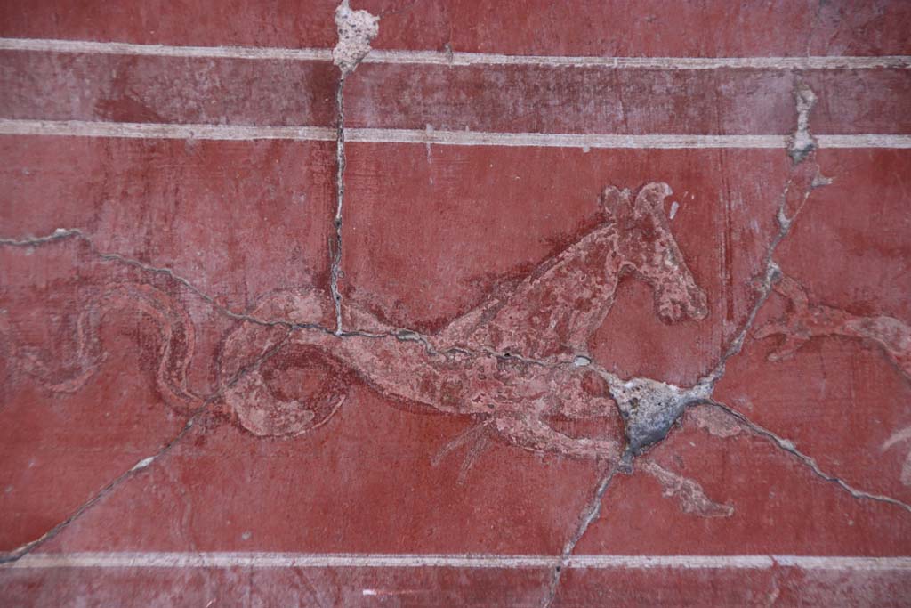 IV.4 Herculaneum. October 2020. Room 4, detail of sea-horse from panel on west wall of cubiculum. Photo courtesy of Klaus Heese.