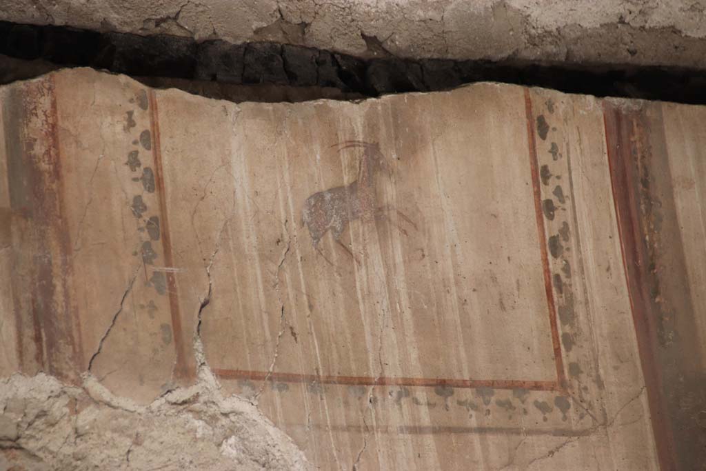 IV.4 Herculaneum. September 2017. Room 19, detail from upper south wall of biclinium.
Photo courtesy of Klaus Heese.
