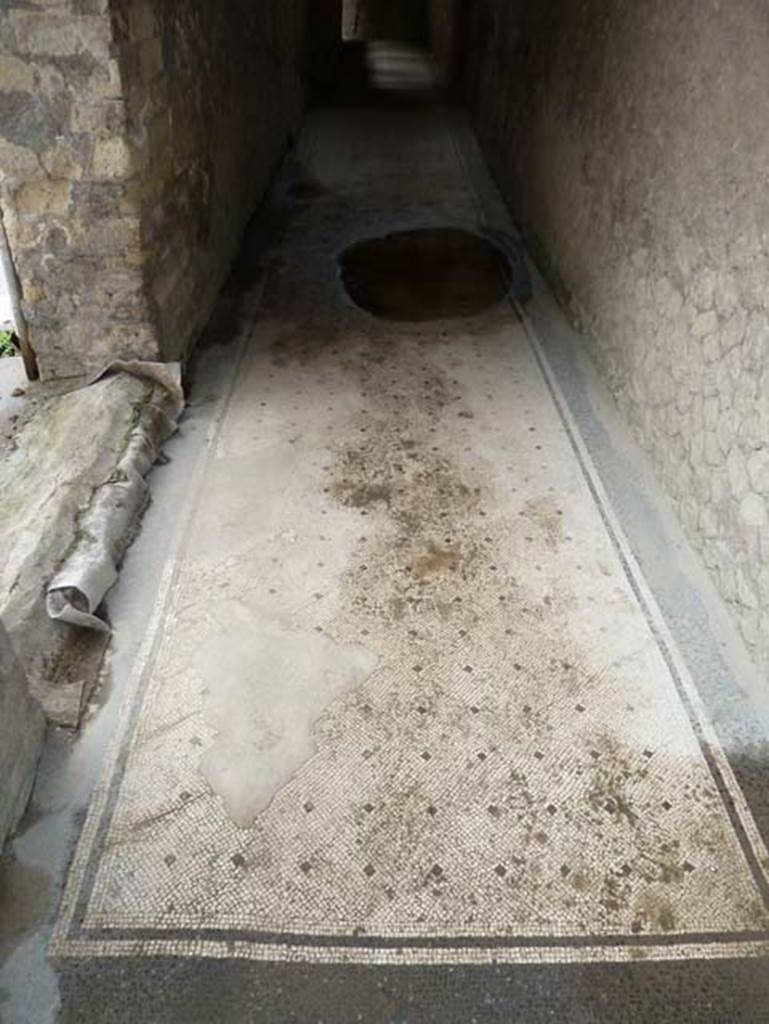 IV.4 Herculaneum. September 2015. Corridor 21, looking east along flooring.
The fine white mosaic floor scattered with black tesserae crosses, and bordered by a double row of black tesserae. 


