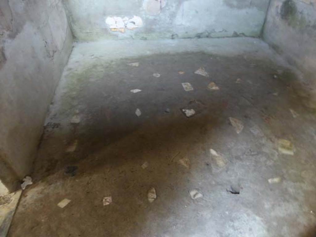 IV.4 Herculaneum. October 2014. Room 23, floor of anteroom. Photo courtesy of Michael Binns.