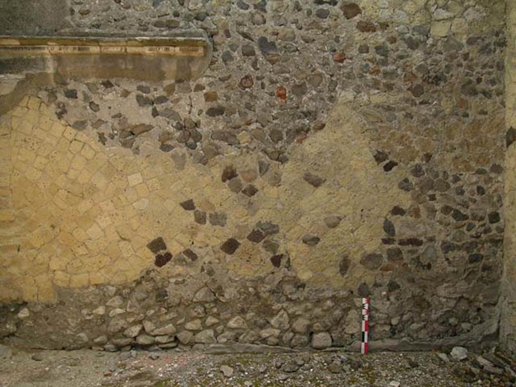 IV.6, Herculaneum, May 2006. Room 10, detail from north wall of oecus. Photo courtesy of Nicolas Monteix.