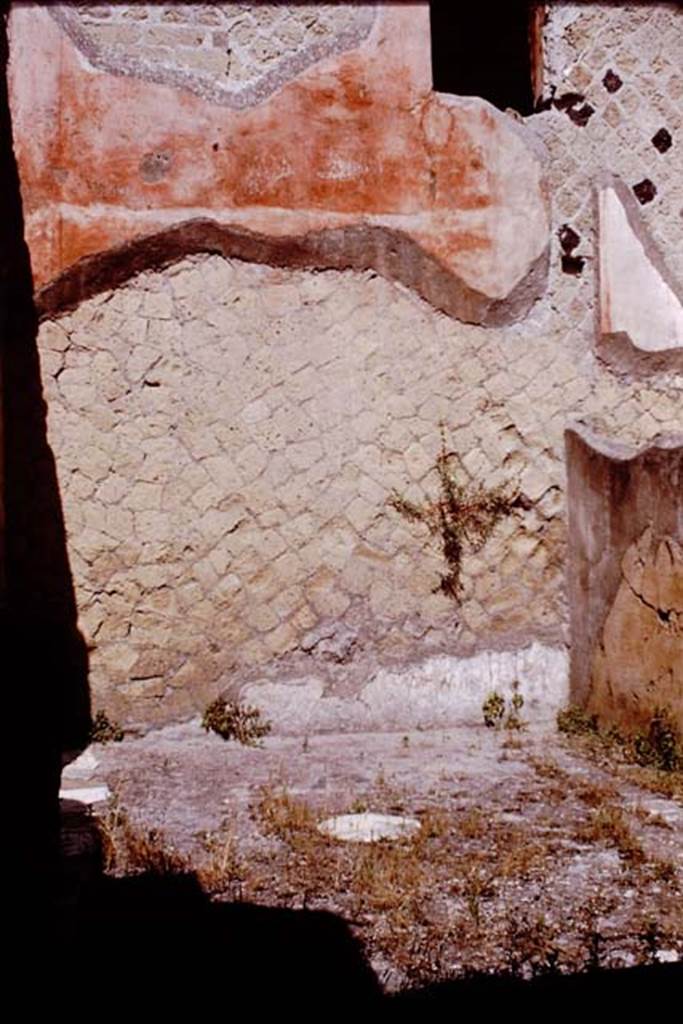 Ins. IV.8, Herculaneum, 1964. Looking north across courtyard/lightyard. Photo by Stanley A. Jashemski.
Source: The Wilhelmina and Stanley A. Jashemski archive in the University of Maryland Library, Special Collections (See collection page) and made available under the Creative Commons Attribution-Non Commercial License v.4. See Licence and use details. J64f1165
According to Jashemski, this was a small paved courtyard, (excavated 1929-32), which served as both a light-well and an impluvium. Preserved on the back wall were traces of a hunt scene with lions and bulls.
See Jashemski, W. F., 1993. The Gardens of Pompeii, Volume II: Appendices. New York: Caratzas. (p.263 and p.370).
