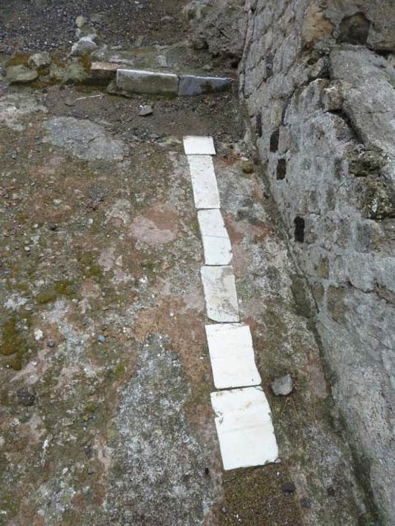 Ins. IV.8, Herculaneum, September 2015. West side of courtyard floor, looking south.