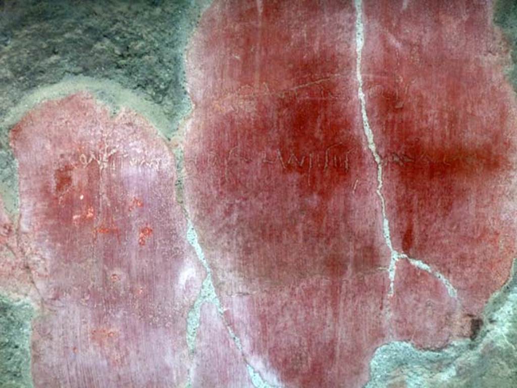 IV.8, Herculaneum, September 2015. On the south wall of the long corridor, protected by a sheet of glass, was a long graffito on red stucco, where reference is made to the Guild of Herculaneum shippers, and a less clear relationship with the great port of Pozzuoli (Puteoli) in the line above.
See Pesando, F. and Guidobaldi, M.P. (2006). Pompei, Oplontis, Ercolano, Stabiae. Editori Laterza, (p.335-6)
According to Epigraphik-Datenbank Clauss/Slaby (See www.manfredclauss.de) this reads
]as [3] conclave Puteolis
[navic]ul(a)e convi(c)tores Herculane(n)ses nav(i)culae [navicula]rii consi(s)tont       [CIL IV, 10520]

According to the EAGLE epigraphic database this reads
[---]̲A̲S̲[---] conclave Puteolis
C̣[-]AṆẠ
[---]V̲LII consitont Herculaneses navculae
See http://www.edr-edr.it/edr_programmi/res_complex_comune.php?id_nr=EDR140147&lang=en

According to Varone, in the plaster that has gone it certainly read 
]LII CONSITONT 
See Varone A., 2012. Titulorum Graphio Exaratorum Qui In C.I.L. Vol. IV Collecti Sunt Imagines: Studi SAP 31. Roma: L’Erma di Bretschneider, vol. II, p. 486, and photo.
See Della Corte M., Rend. Ac. Arch. Nap., 33, 1958, p. 264, nr. 288 bis, 289.
See A. Maiuri, Ercolano: I Nuovi Scavi (1927-1958), Roma 1958, p. 425, fig. 367 con apografo.
See Della Corte M., Cipriotti P., 1970. Corpus Inscriptionum Latinarum Vol. IV, Supp. 3, Pars. 3. Berlin: De Gruyter, p. 1116.

