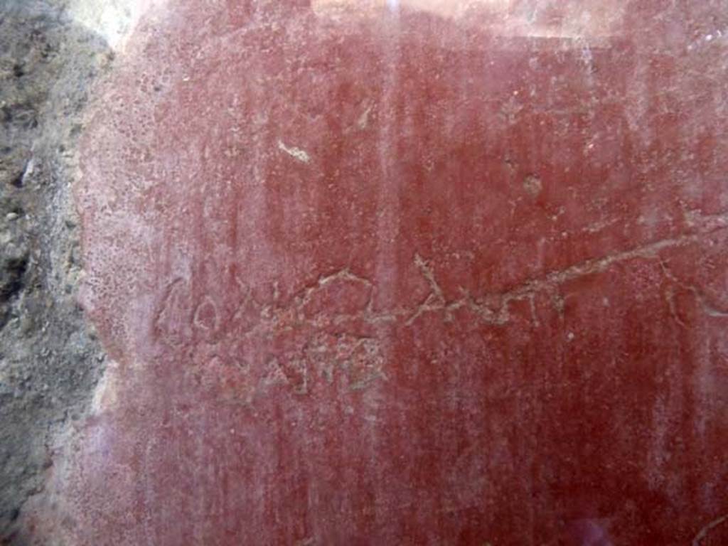 IV.8, Herculaneum, May 2010. Conclave part of graffito on the south wall of the long corridor.