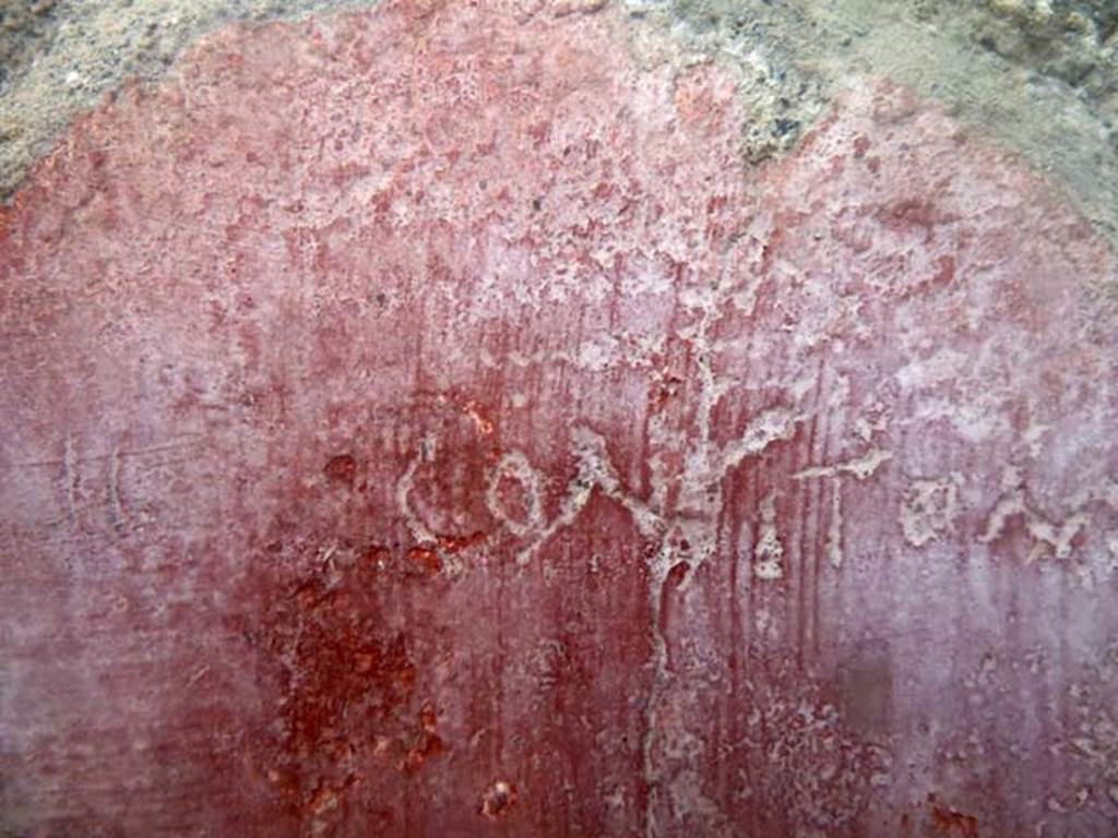 IV.8, Herculaneum, May 2010. Consitont part of long second line of graffito on the south wall of the long corridor.