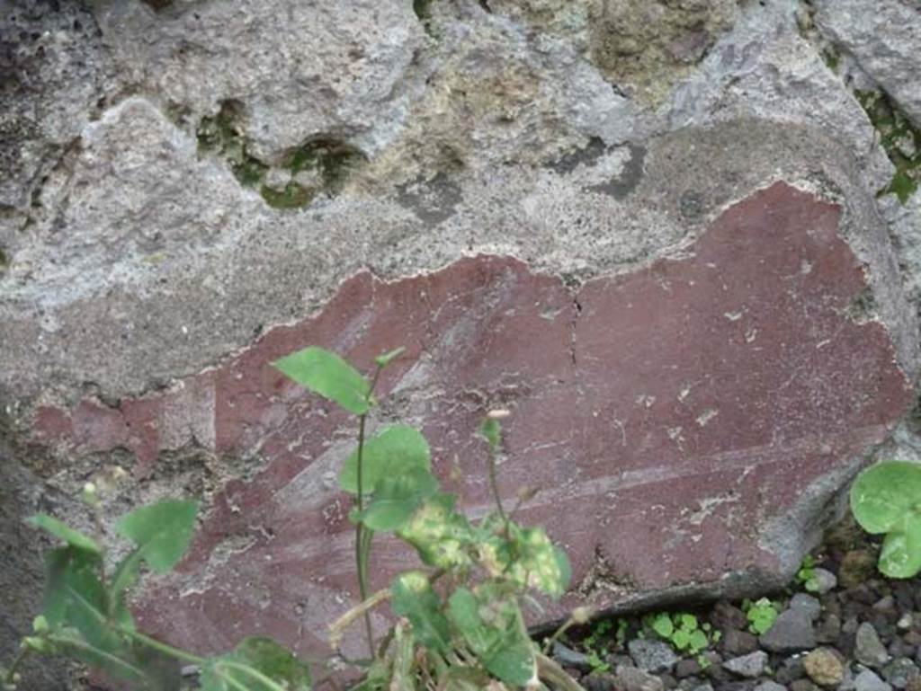 Ins. IV.8, Herculaneum, September 2015. Detail of painted zoccolo.