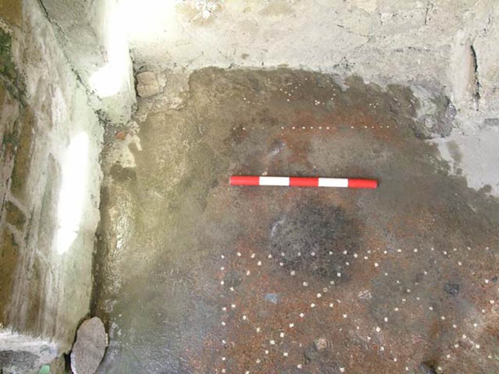 IV.14 Herculaneum. May 2004. Flooring at north end towards the east wall. Photo courtesy of Nicolas Monteix.