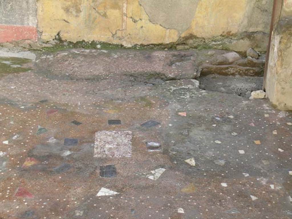 IV, 14, Herculaneum, May 2004. Detail of flooring, looking south. Photo courtesy of Nicolas Monteix.