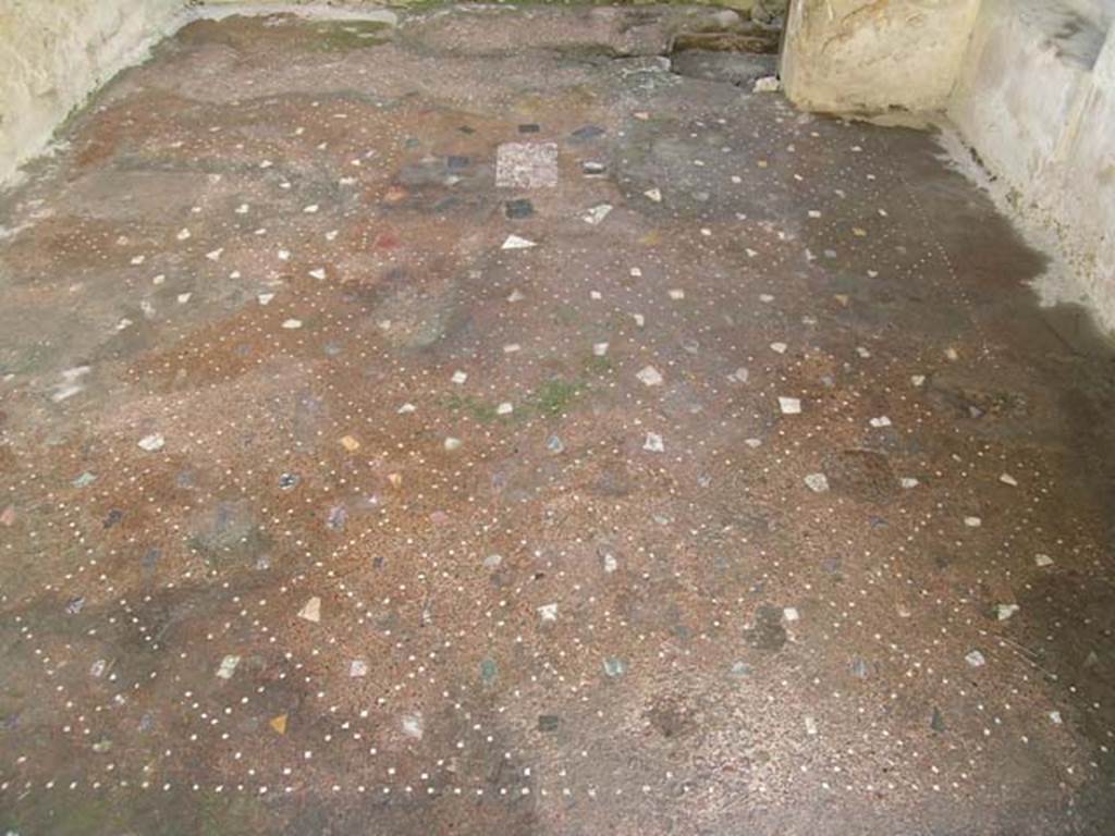 IV, 14, Herculaneum, May 2004. Looking south across flooring. Photo courtesy of Nicolas Monteix.