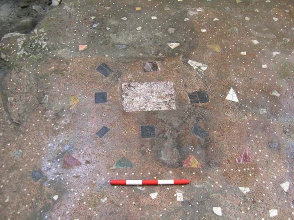 IV, 14, Herculaneum, May 2004. Detail of flooring, looking south. Photo courtesy of Nicolas Monteix.