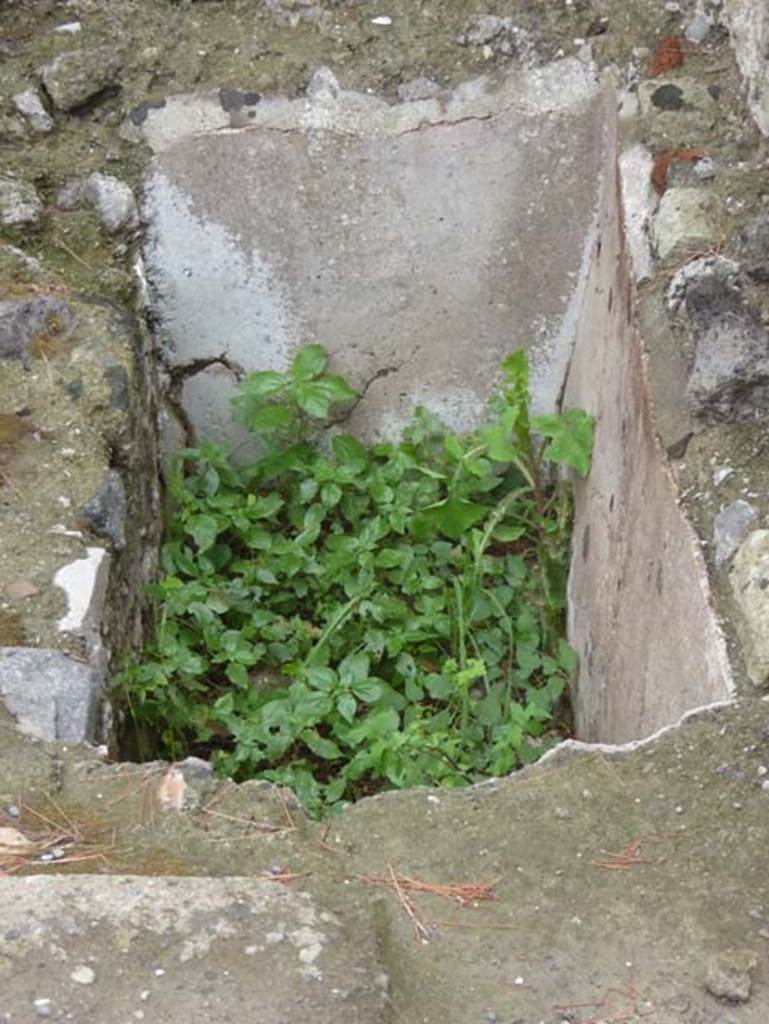 IV.17, Herculaneum, October 2015. Looking south into small storage recess. Photo courtesy of Michael Binns.
