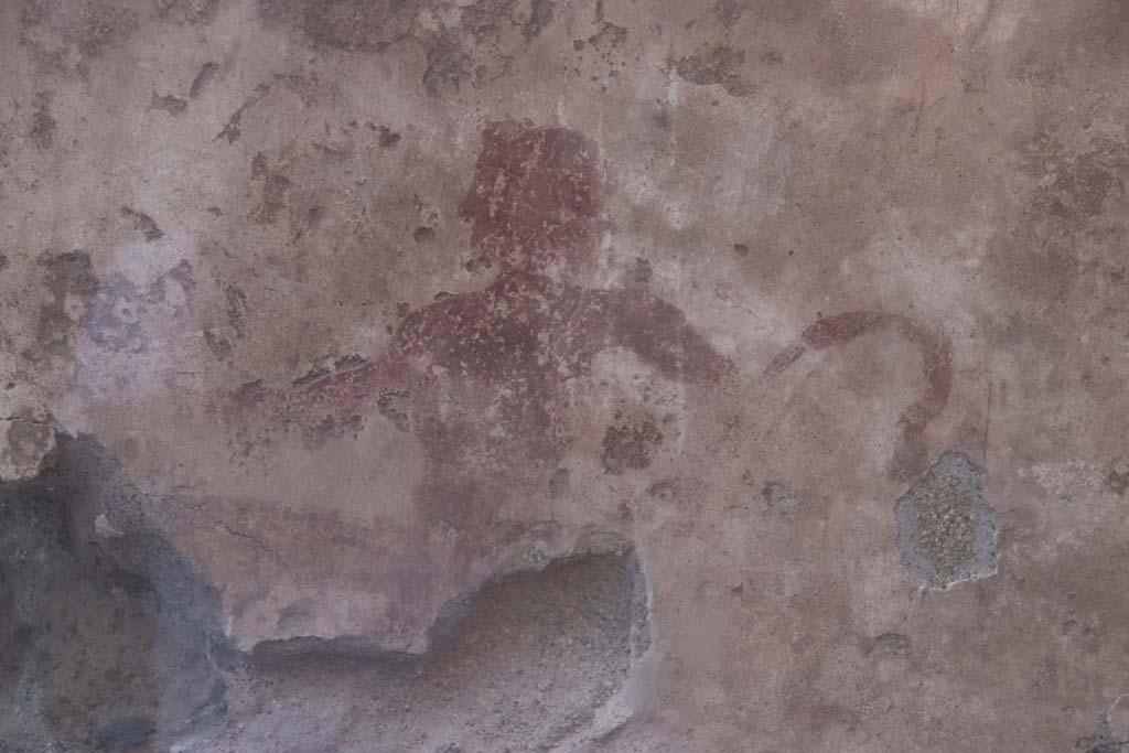 IV.17, Herculaneum, September 2019. Detail of the Priapus figure painted on the south wall behind the sales counter.
Photo courtesy of Klaus Heese.
